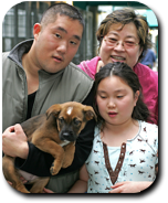 adoptprocess adoption process